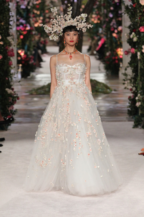 iiwaken:dolce&gabbana / alta moda 2017