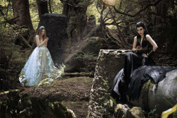 fairytalemood:  &ldquo;Once Upon a Dream&rdquo; photographed by Jvdas Berra