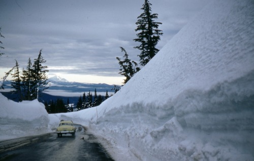 Scenes near Timberline Lodge on Mt. Hood, 1952R. G. Dippold Collection, Acc. 23095, “ciga
