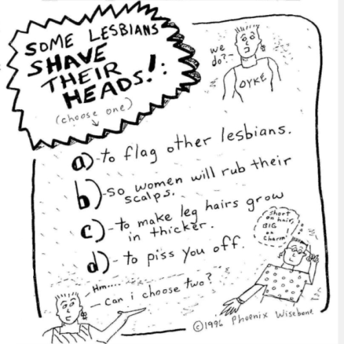 catmeme:a rly good comic i found while doing research for my lgbt history paper