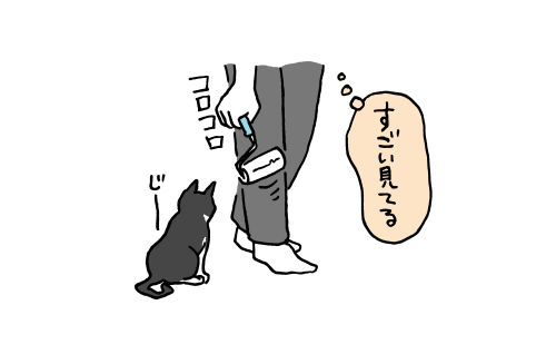 ginngetsu:  何をお気に召したのやら… 