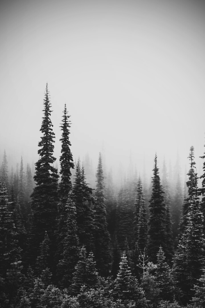 hell was the journey but it brought me heaven