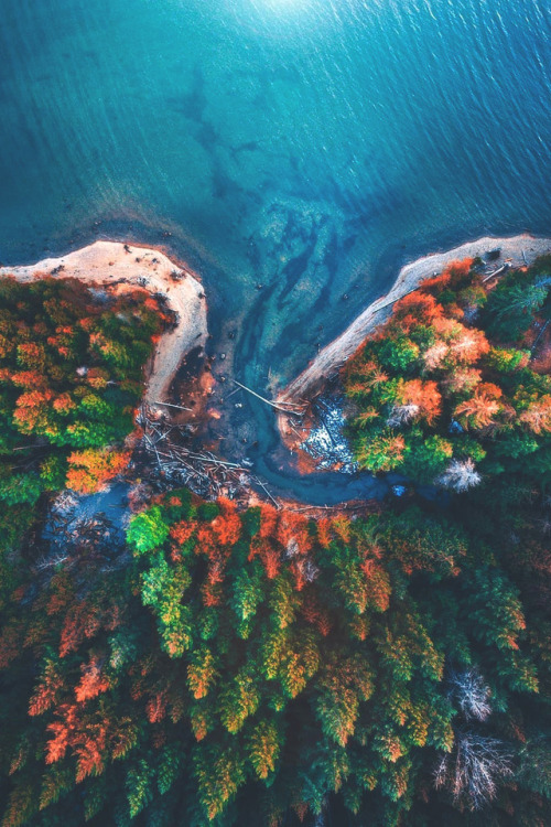 lsleofskye:Comox Lake | calibreus