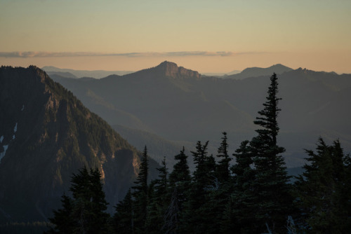 90377:  Mount Rainier at sunrise by Lianne Morgan  