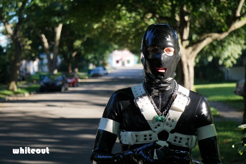 rubbertheworld:  Leftover photos from my video on MSU’s campus  Link to the video: https://youtu.be/XawUNTUH4jI  