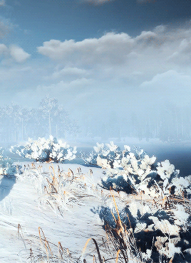windsshowling: endless Witcher 3 scenery » 100/∞
