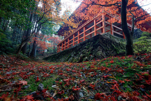 Flaming autumn trees in mount Hiei, by Prado