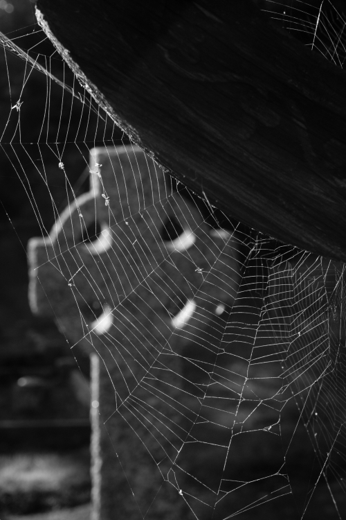 omniaobscura:  Cobwebs on a wooden Celtic cross in the churchyard of St. John the Baptist at Stokesay Castle. 