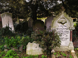 spookyloop:  spookyloop:  Couldn’t resist taking some photos on my morning stroll through the West Brompton cemetery. (London, UK, February 2 2014) Please do not delete this caption, or edit/use my photos without my permission.  I miss this place so