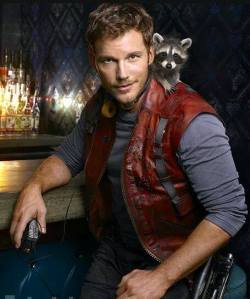 dailyraccoons:  Here’s Chris Pratt with