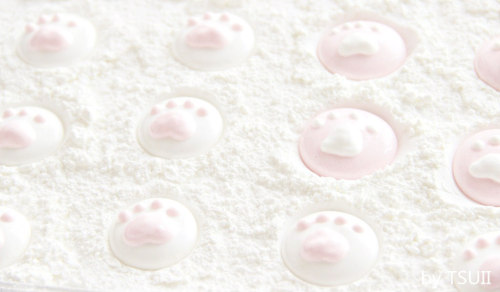 kawaiistomp:‘Cat Like’ Marshmallows ~ (credit)(please do not delete the credit)