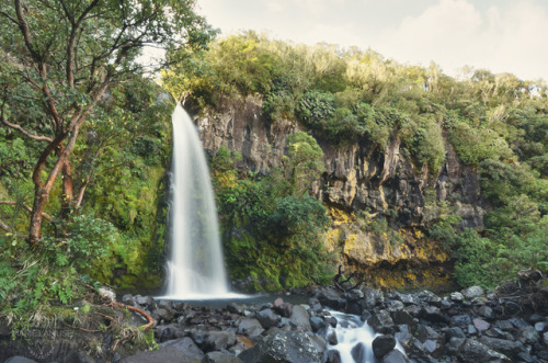  Nouvelle Zélande ~ Road-trip 2017 par Marie l'AmuseWelcome to the Jungle - New Zealand. 04/2017 ~ M