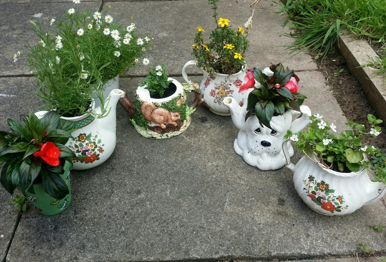 anteggs:  I bought some flowers and planted them in my nan’s old tea-pot’s and