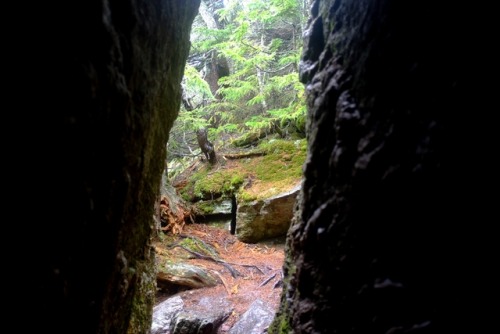 pedrodynomite:from inside a tiny cave along the new hampshire appalachian trail.