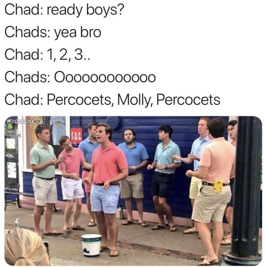 dankmemeuniversity:  