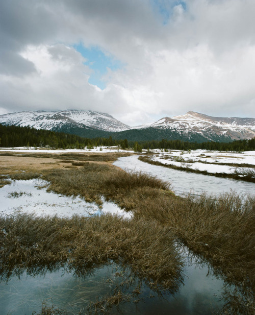 jmswts:Tioga Fall Storm, Yosemite. 2016James Watts