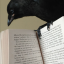 crowenjoiyer