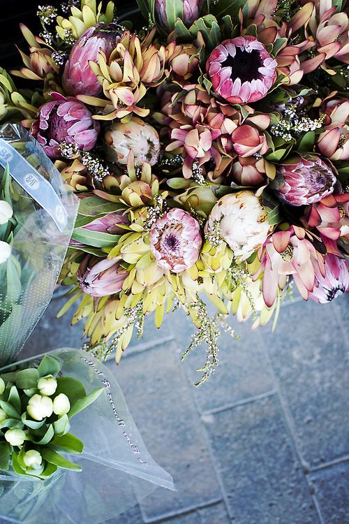 floralls:  (by .natasha.) 