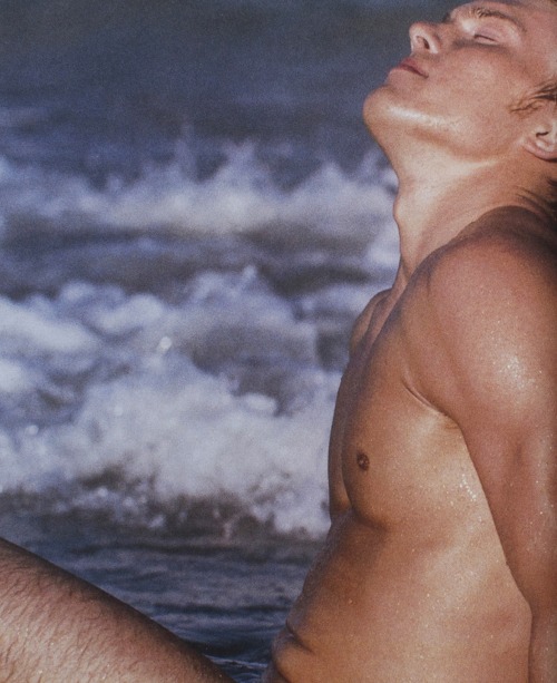 kradhe:    Bruce Weber  