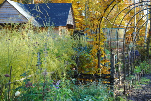 Autumn in Kasubian garden of Kasia and Andrew Bellingham