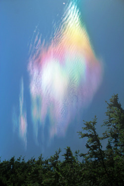 aqqindex:Some Iridescent Clouds