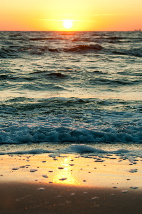 plasmatics:  Spring sunrise By Marina Gazibar [via/more] 