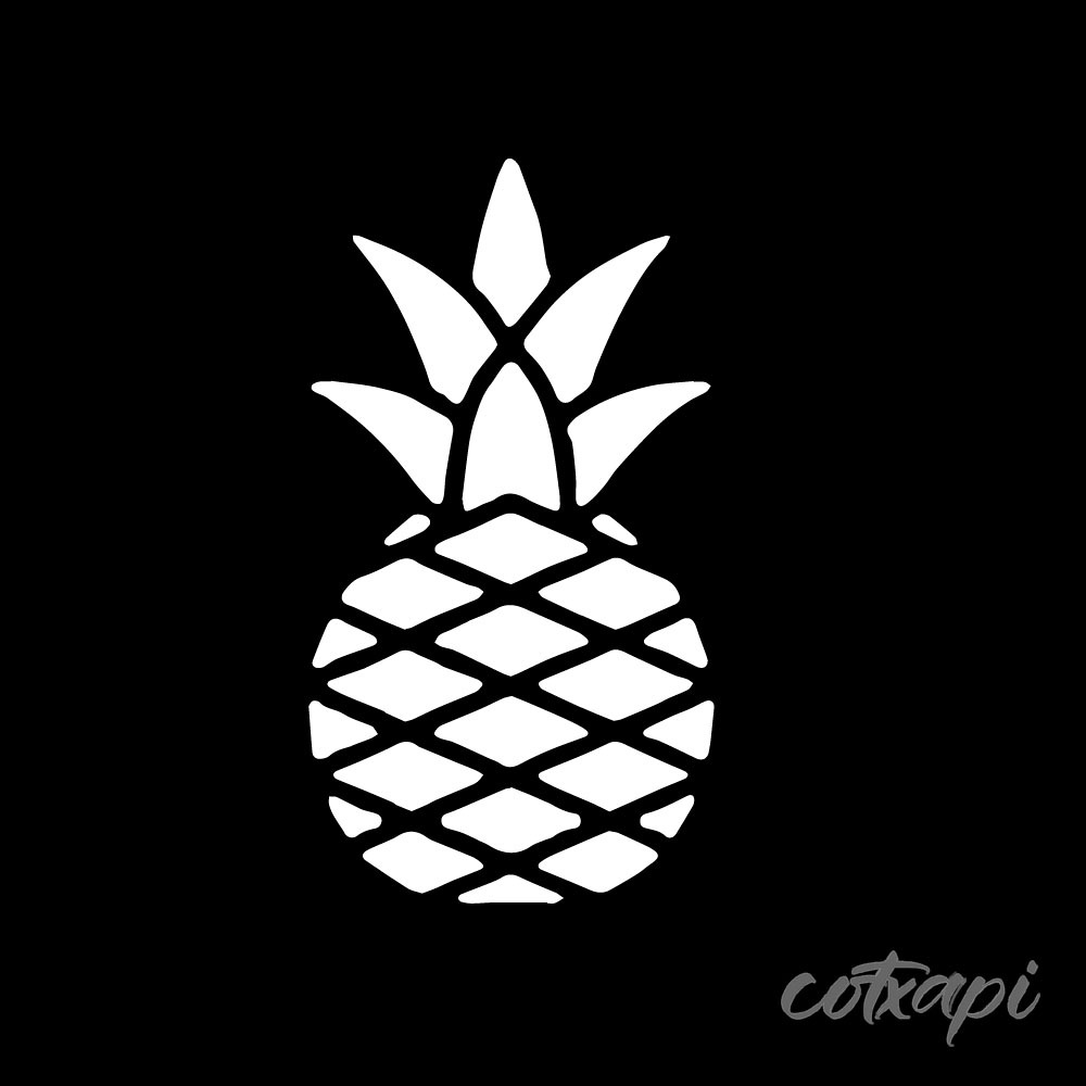 Pineapple icon in vector art and Fruit outline art