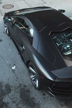 wearevanity:  Aventador top view 