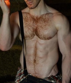 Sweaty Hairy and Lickable