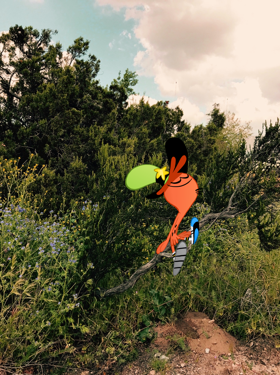 wanderin-over-yonder:  Wanderlust