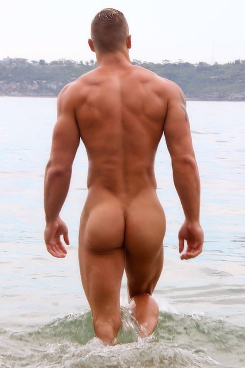 pervert-central:  cubfister:  Anyone for a swim?  that’s pretty fucking flawless 