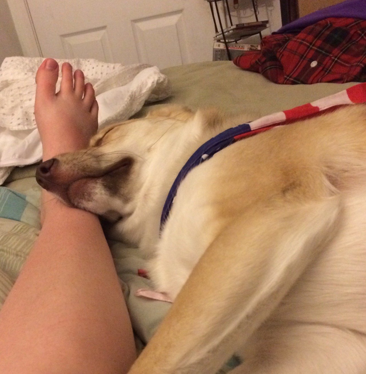 She is so sleepies