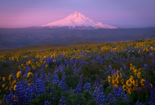 te5seract: Mt Jefferson &amp; Spring Transitions by Justin Poe