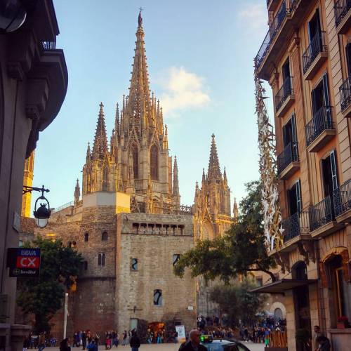 #catedral #barcelona #bcn #catalunya #medieval #architecture #gothic #gotico (en Barcelona Centre)