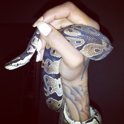 Sex-Slave-Jay