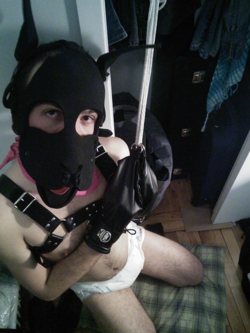pup-alako:  Playing as a puppy with my boyfriend ^^ 