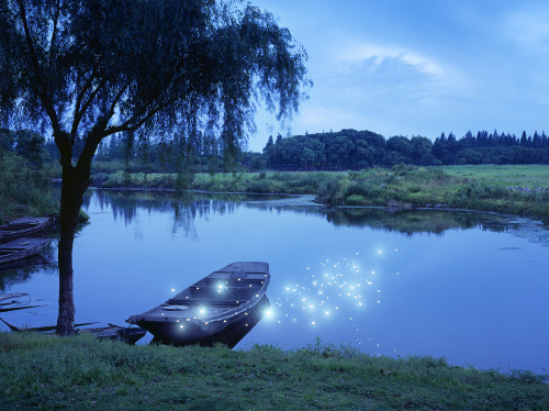 Porn photo nevver:  Grave of the fireflies, Jeong Lok