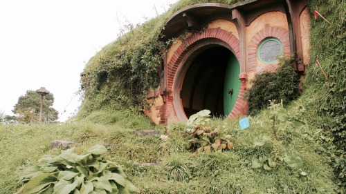 seansavestheworld:  becauselotr:  I don’t believe there is a single person in the world who wouldn’t live in Hobbiton if given the opportunity   I’d take that opportunity in a second 🙋🏻‍♂️