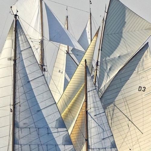 sabonhomeblog:Sea of Sails