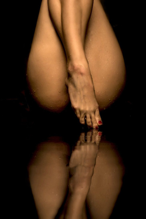 Quello che cerchi