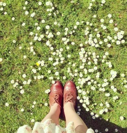 floraleai:  ✿ floraleai ✿