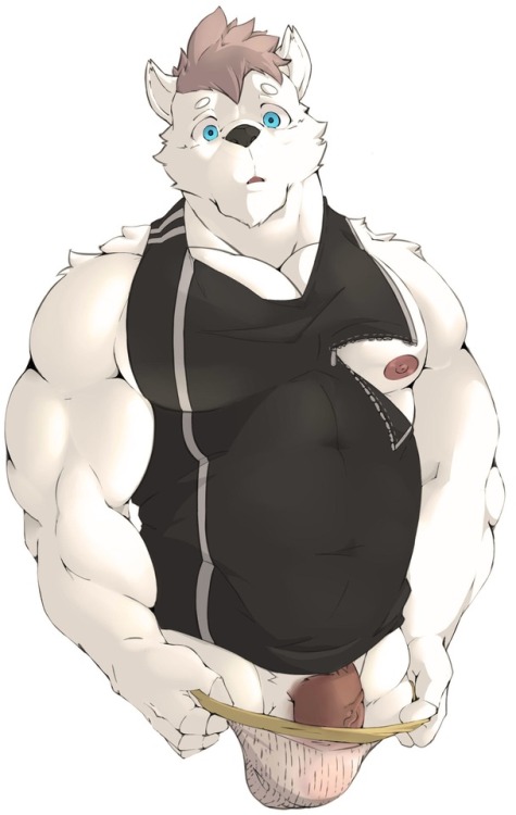 essentialryu: the shirt meme.Twitter Link : twitter.com/Matcha_ryu/status/8808060933576