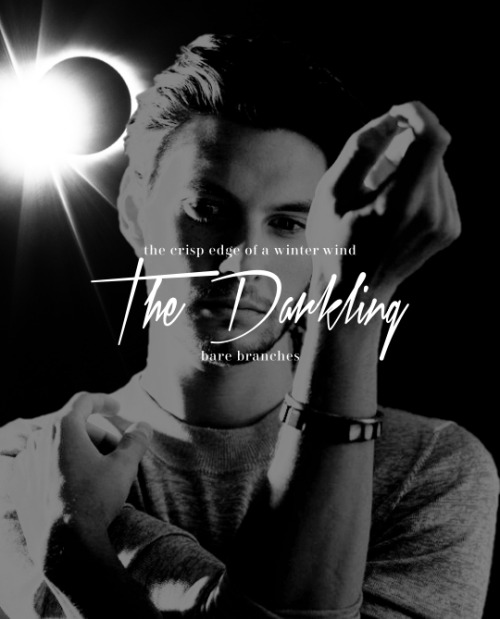 thewaterlooletters: shadow and bone: t h e  d a r k l i n g “i’ve seen what you tru