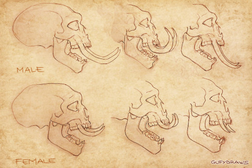 garrison-of-misfits:Extract from my project on the hypothetical anatomy of World of Warcraft’s