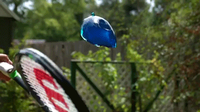 sizvideos:  The Slo Mo guys had fun with Jelly and tennis rackets - Watch the full