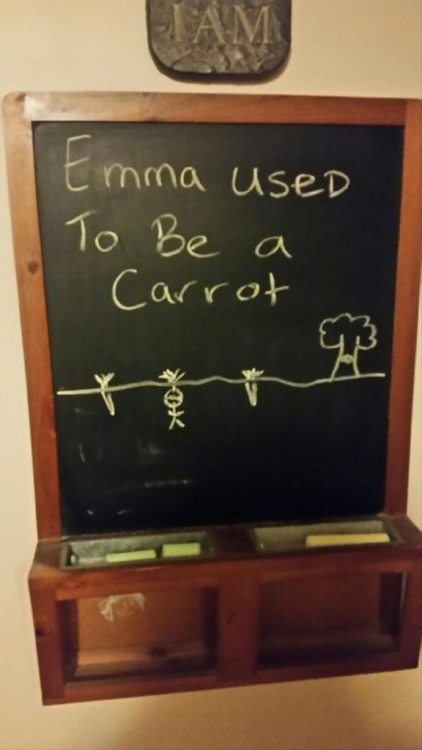 lolfactory:  My brother teases our little sister with chalkboard drawings every day. This was today’s. ➨ funny tumblr[via imgur] 