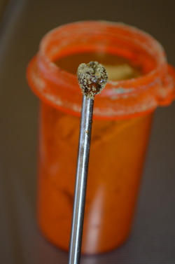 incredible-kush:  kief dipped dabs 