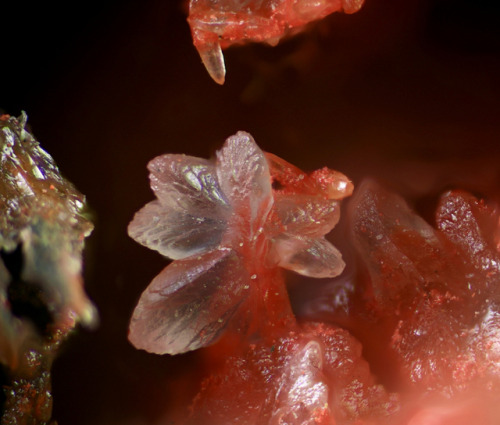 underthescopemineral:  Smithsonite, Cinnabar        ZnCO3 HgS Locality: La Mure, Is&e