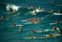 natgeofound:  Surfers overpopulate the waves