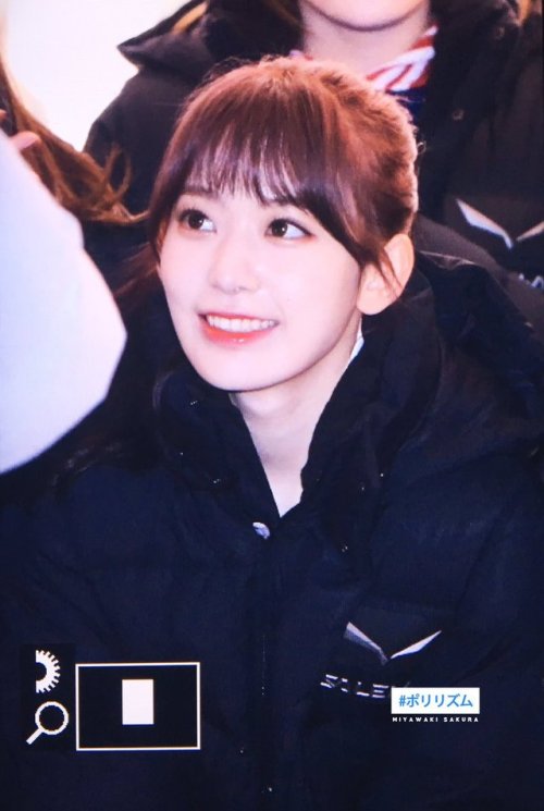 miyawaki sakura